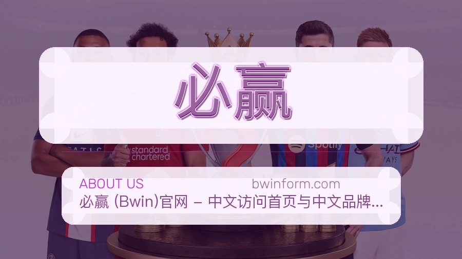 必赢品牌介绍与客服支持展示